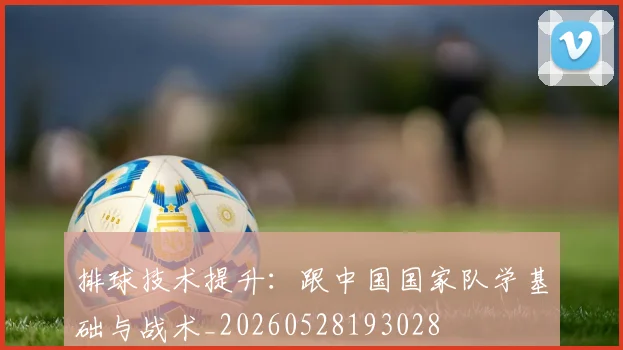 排球技术提升：跟中国国家队学基础与战术_20260528193028