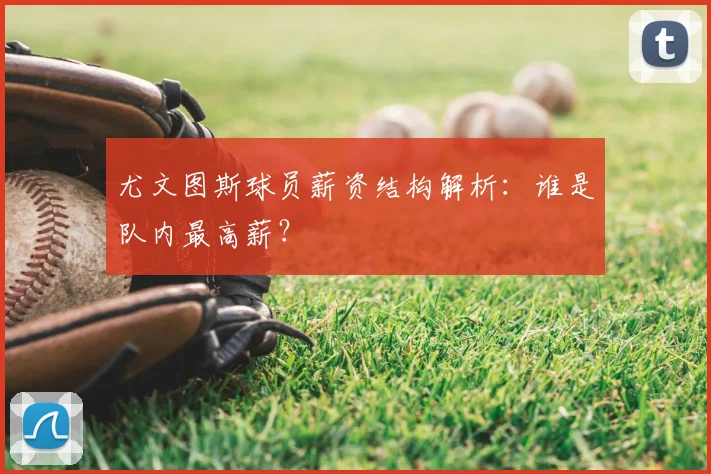 尤文图斯球员薪资结构解析:谁是队内最高薪?